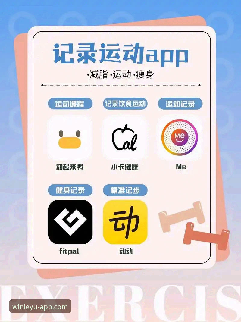 乐鱼体育APP安装包必备：从下载到使用的新手完整指南