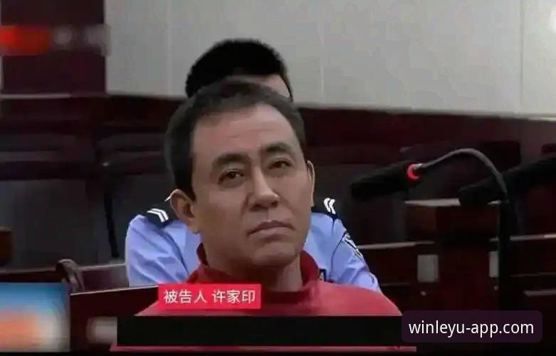 从金元足球到法庭审判：许家印案的多维度解析